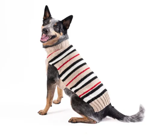 Bentley Alpaca Stripe large dog sweater