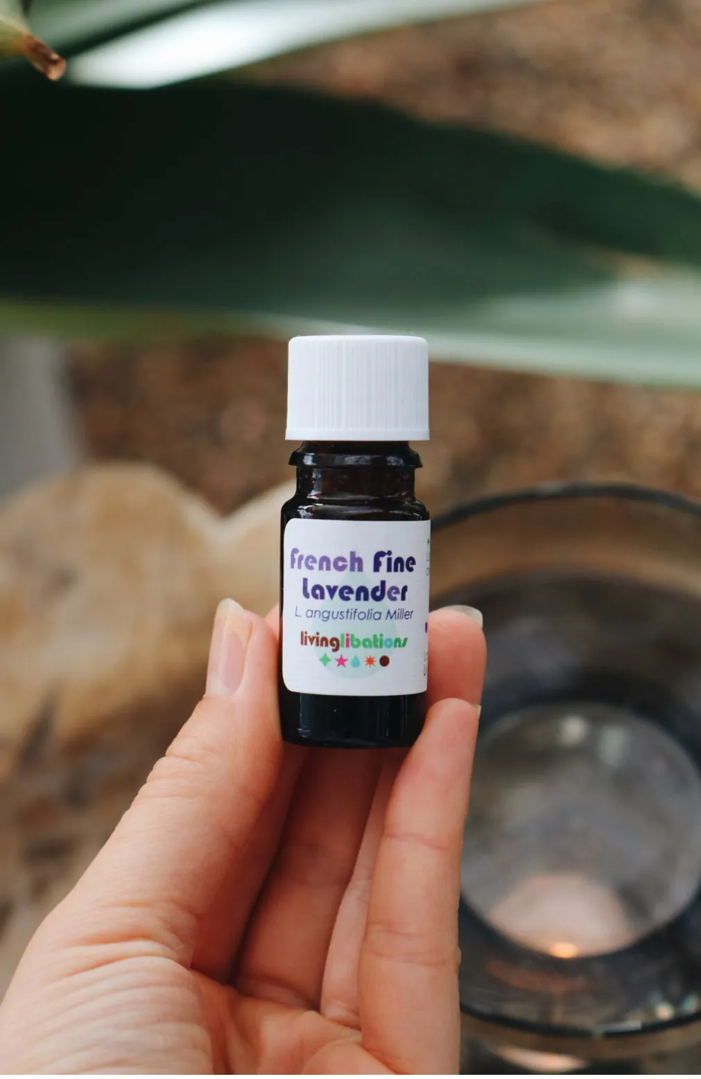 Lavender French Fine Essential Oil - Living Libations